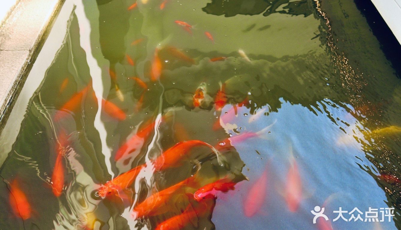 神州·饮|福建·福州【咖啡No.5】一井天,望云烟