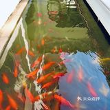 神州·饮|福建·福州【咖啡No.5】一井天,望云烟