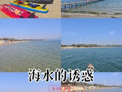-汕尾风车岛