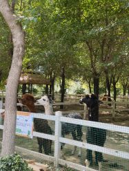 -优沃得自然教育农场·冰雪乐园·生日会·研学