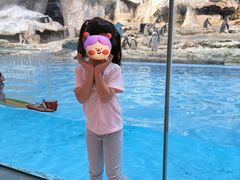 -帝企鹅自助餐厅•儿童岛•真企鹅(长隆企鹅酒店)