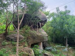 -白水寺森林公园