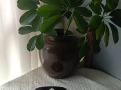 -修申骨雕小颜脊柱骨盆管理产后修复