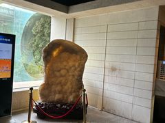 -春晖园度假酒店温泉