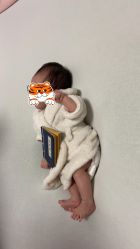 -西瓜庄园儿童摄影