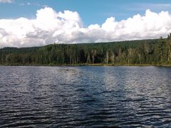 -五营红松林海景区