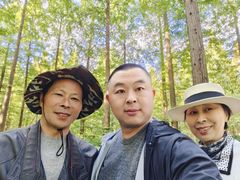 -黄海国家森林公园