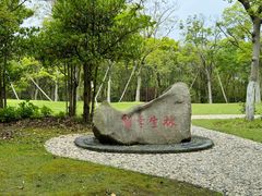 -上海吴淞炮台湾国家湿地公园