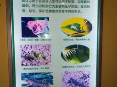 -上海昆虫博物馆
