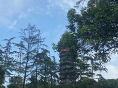 -塔子山公园