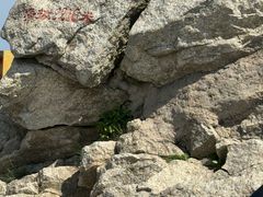 -洛阳白云山景区