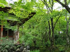 -常寂光寺