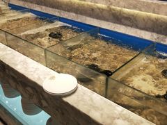 海鲜-火锅岛潮牌自助餐厅(天津天佑城店)