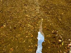 景点-南石洋大峡谷