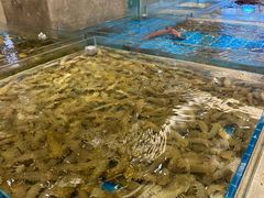 -新丁香海鲜酒店(银海商贸城店)