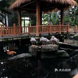 南宫鹦鹉园