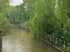 -南汇桃花村