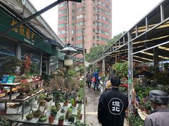 -曲阳花鸟市场(曲阳路店)