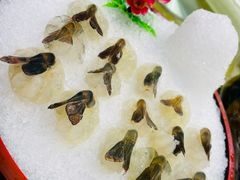 -海晖酒楼·顺德鱼生(荣华店)