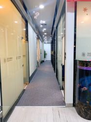 -DEM缔怡美科技美容