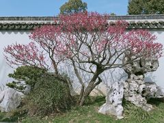 -无锡梅园公园