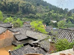 -杨家堂村