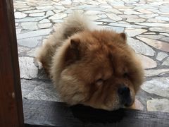 -看见远方·莫干遥远的山民宿