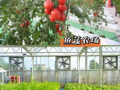 -江门古劳水乡旅游区