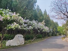 -千佛山风景名胜区