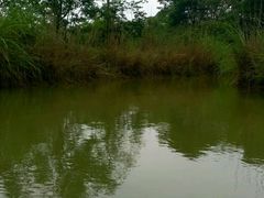 -梁鸿国家湿地公园