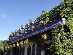 -Sirena海妖日咖夜酒