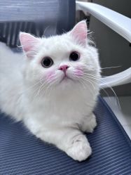 -常熟时代医疗美容