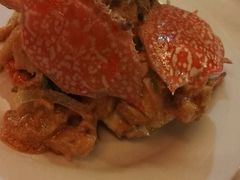 -Red Lobster