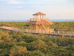 -北海金海湾红树林生态旅游区