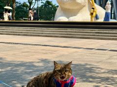 -深圳湾万象城(南山店)