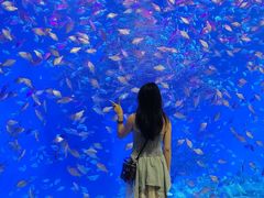 -合肥海洋世界
