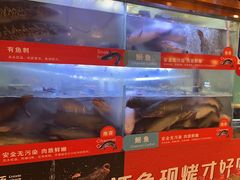 -三江源活鱼现烤(维多利摩尔城店)