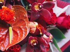 -花生FM_FLOWERS