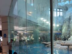 -帝企鹅自助餐厅•儿童岛•真企鹅(长隆企鹅酒店)