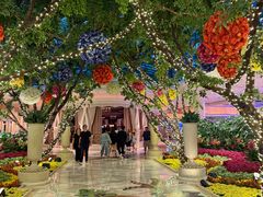 -拉斯维加斯永利酒店