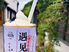 -狐狸家·酸奶酪专门店(平江路店)
