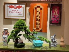 -春梅里卤鹅馆·47年老字号(中山路店)