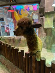 -宝燕乐园(闵行旗舰店)