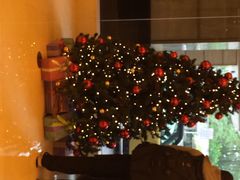 城市花园酒店-香港城市花园酒店