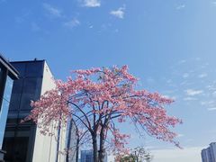 -星巴克(深圳前海企业公馆店)