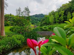 -云溪植物园