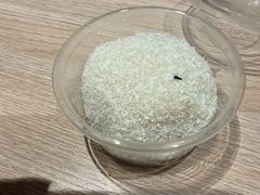 -海陆丰明凤擂茶