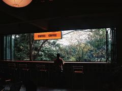 -龙岩森林水乡景区