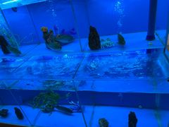 -怡咖啡·自助餐·西安香格里拉