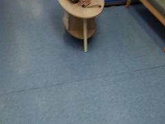 -博特宠物医院24h犬猫全科.骨科·异宠